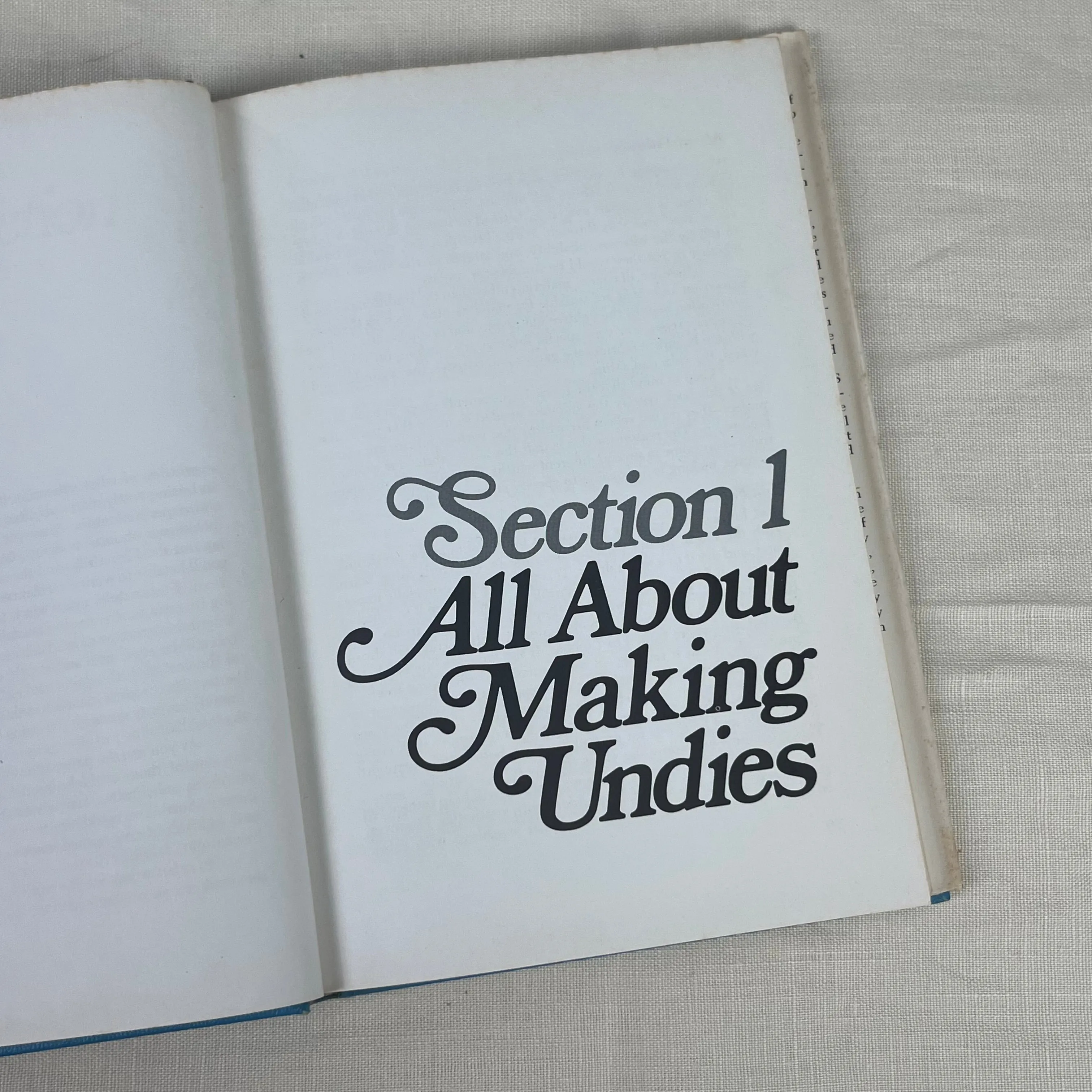 1970’s The Undies Book; An easy step-by-step guide to making beautiful, inexpensive custom-fit underwear - Hardcover