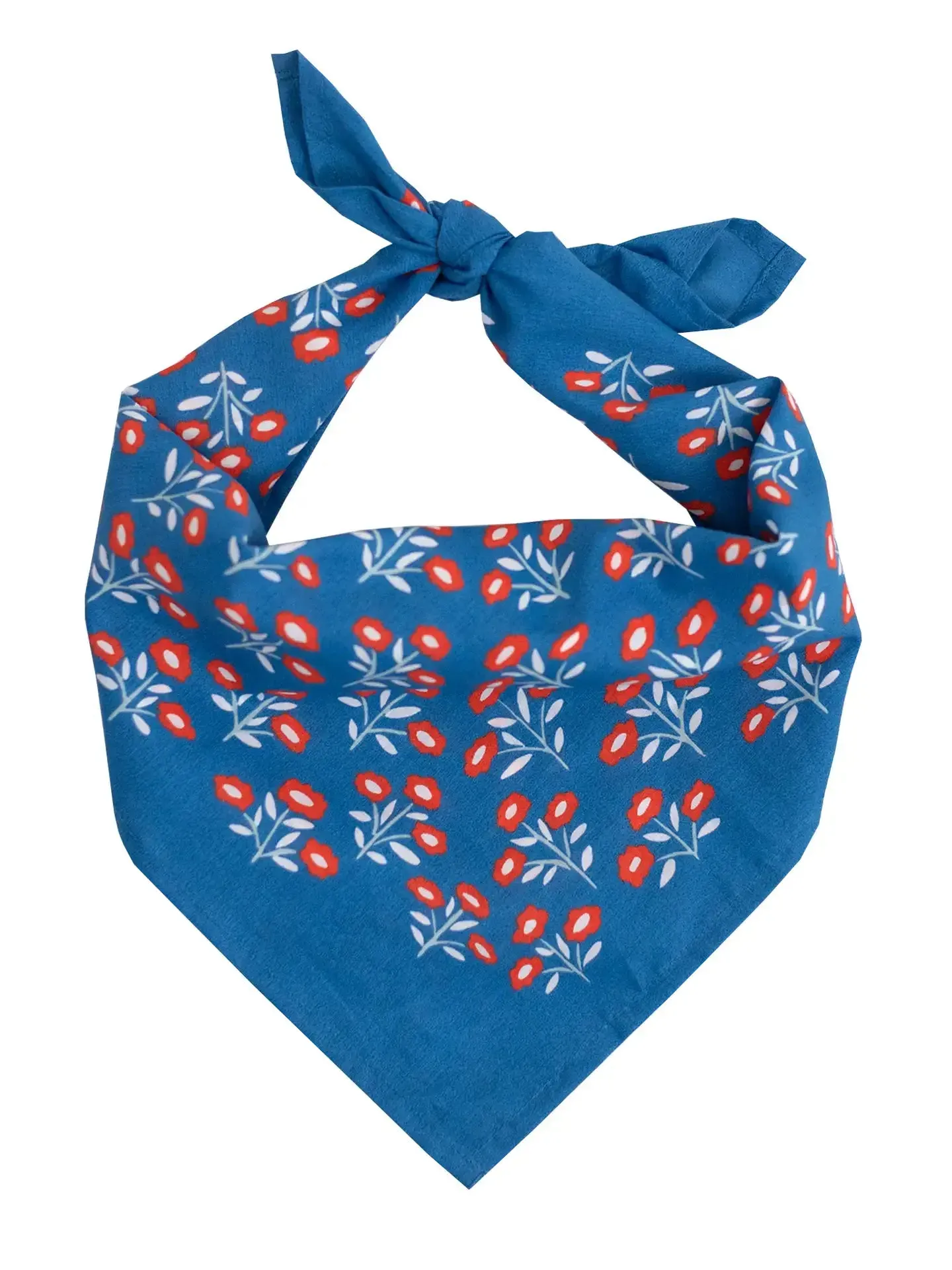 Colorful Screen Printed Bandanas