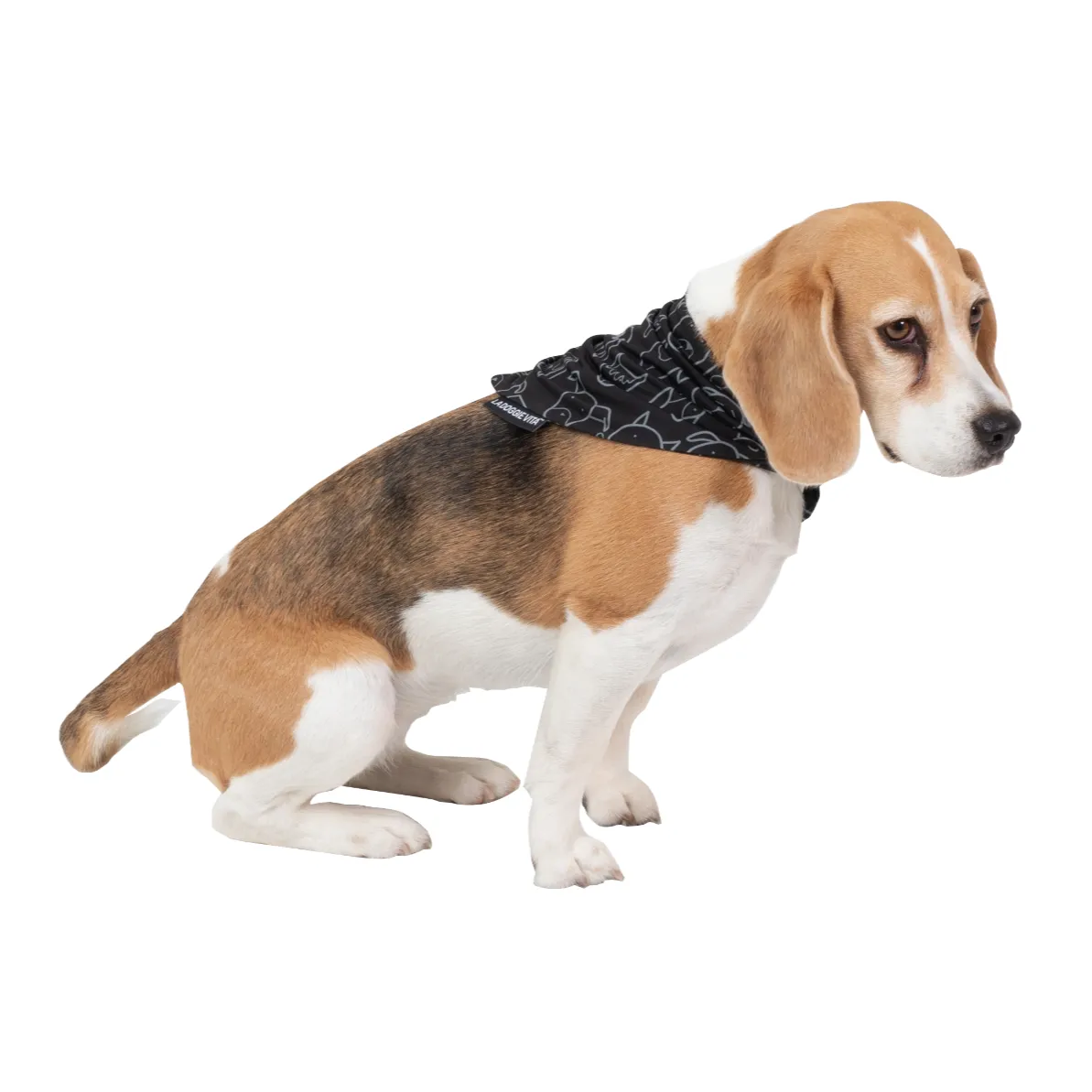 Dog Central Black Bandana