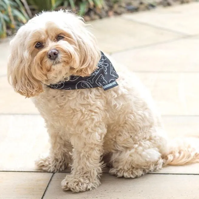 Dog Central Black Bandana