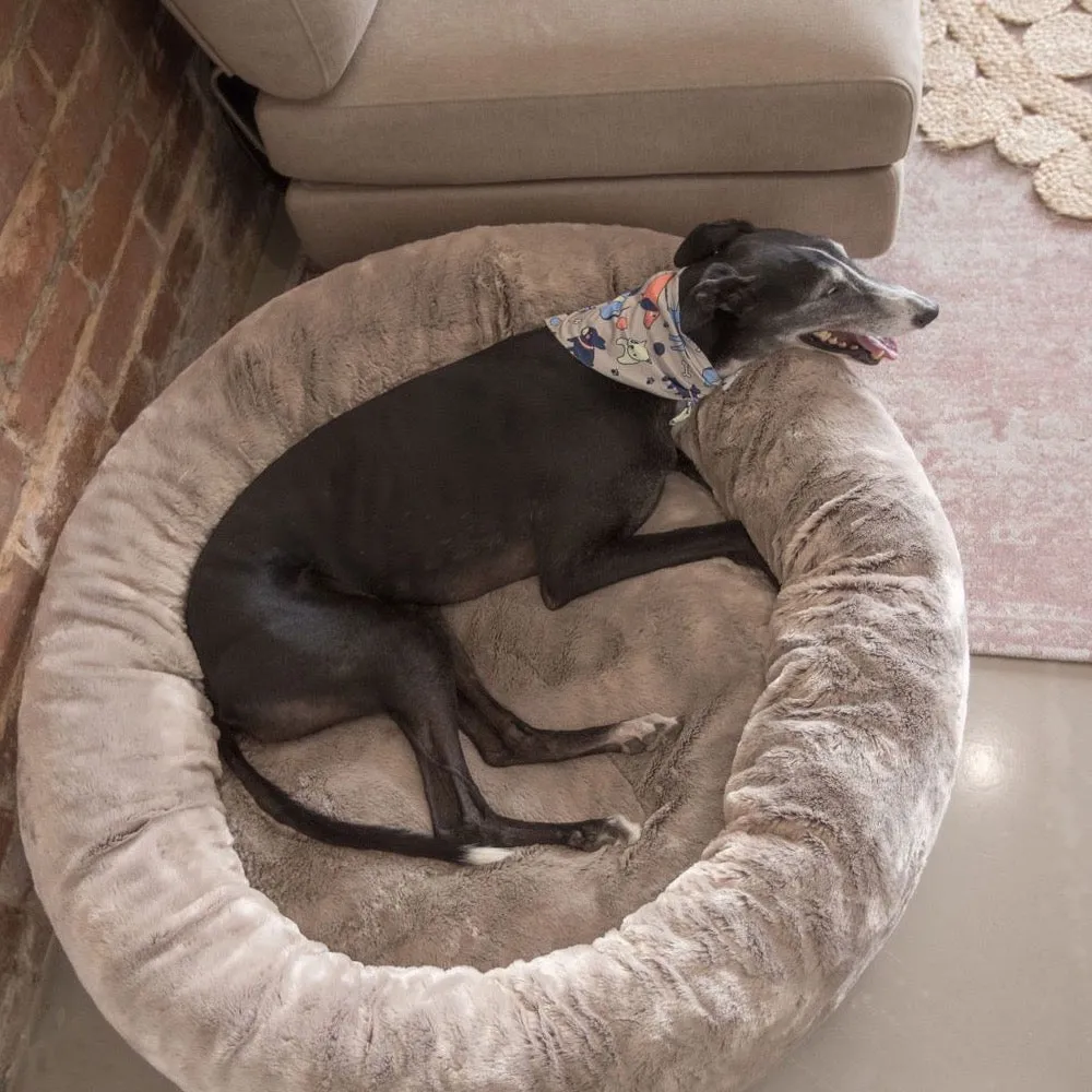 Dog Park Taupe Bandana