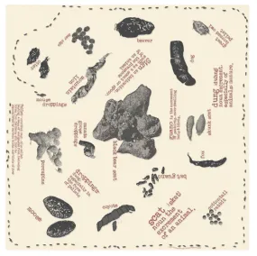 Nature Facts Bandana - Scat