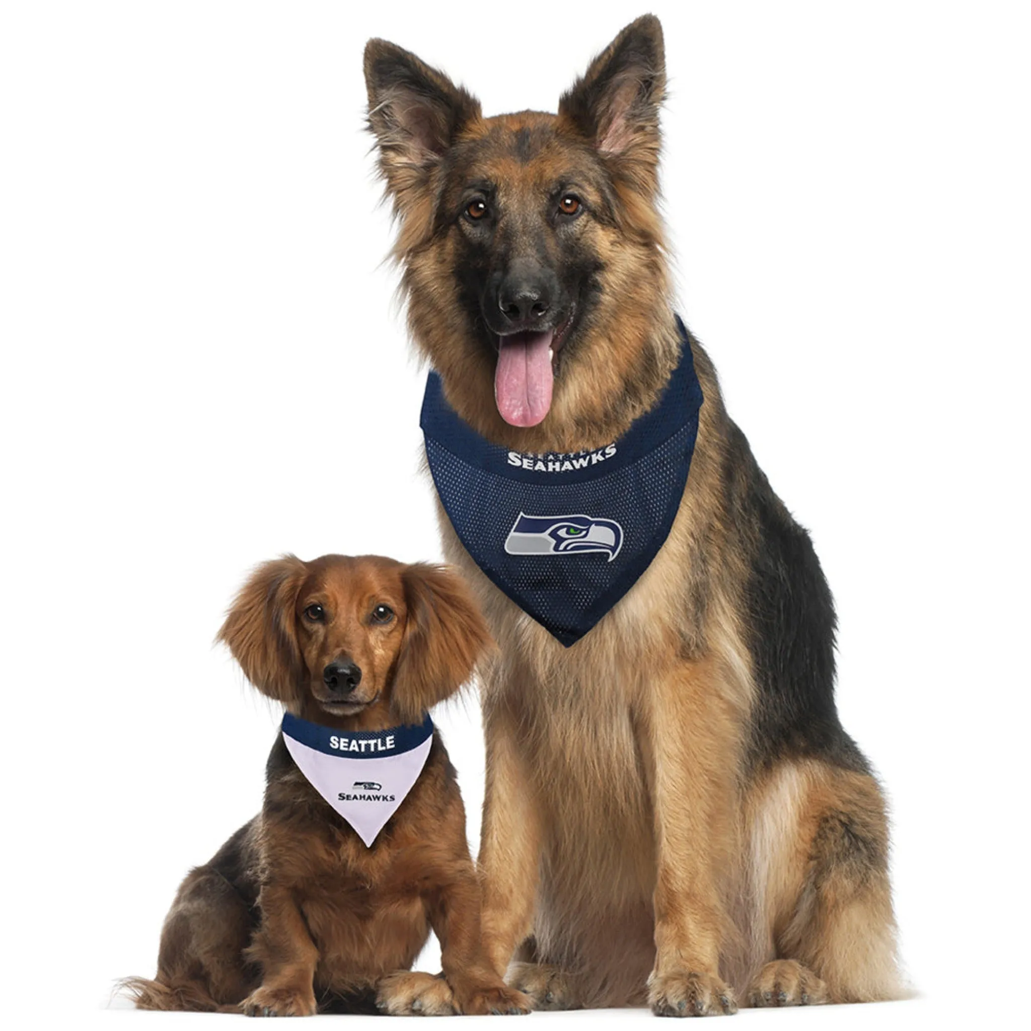 Seattle Seahawks Reversible Dog Bandana