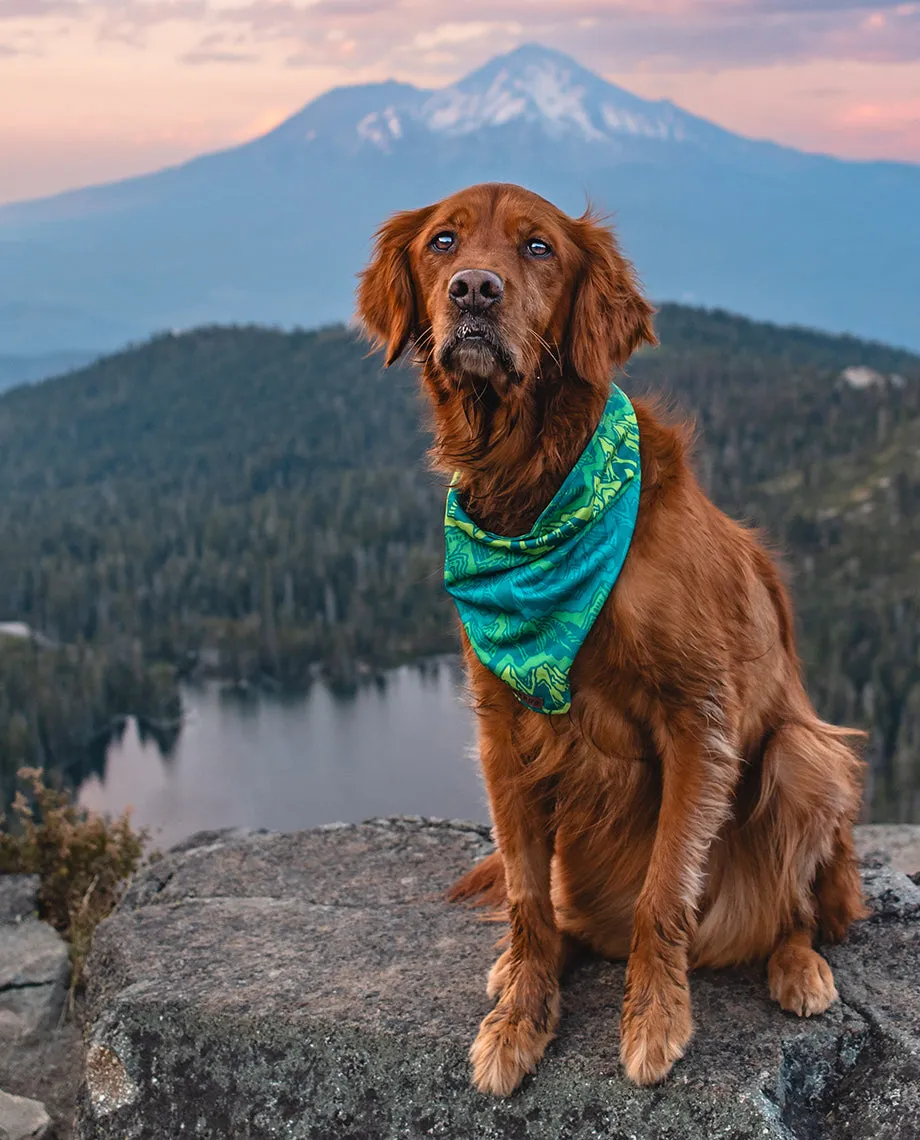 Stio x Wilderdog Bandana