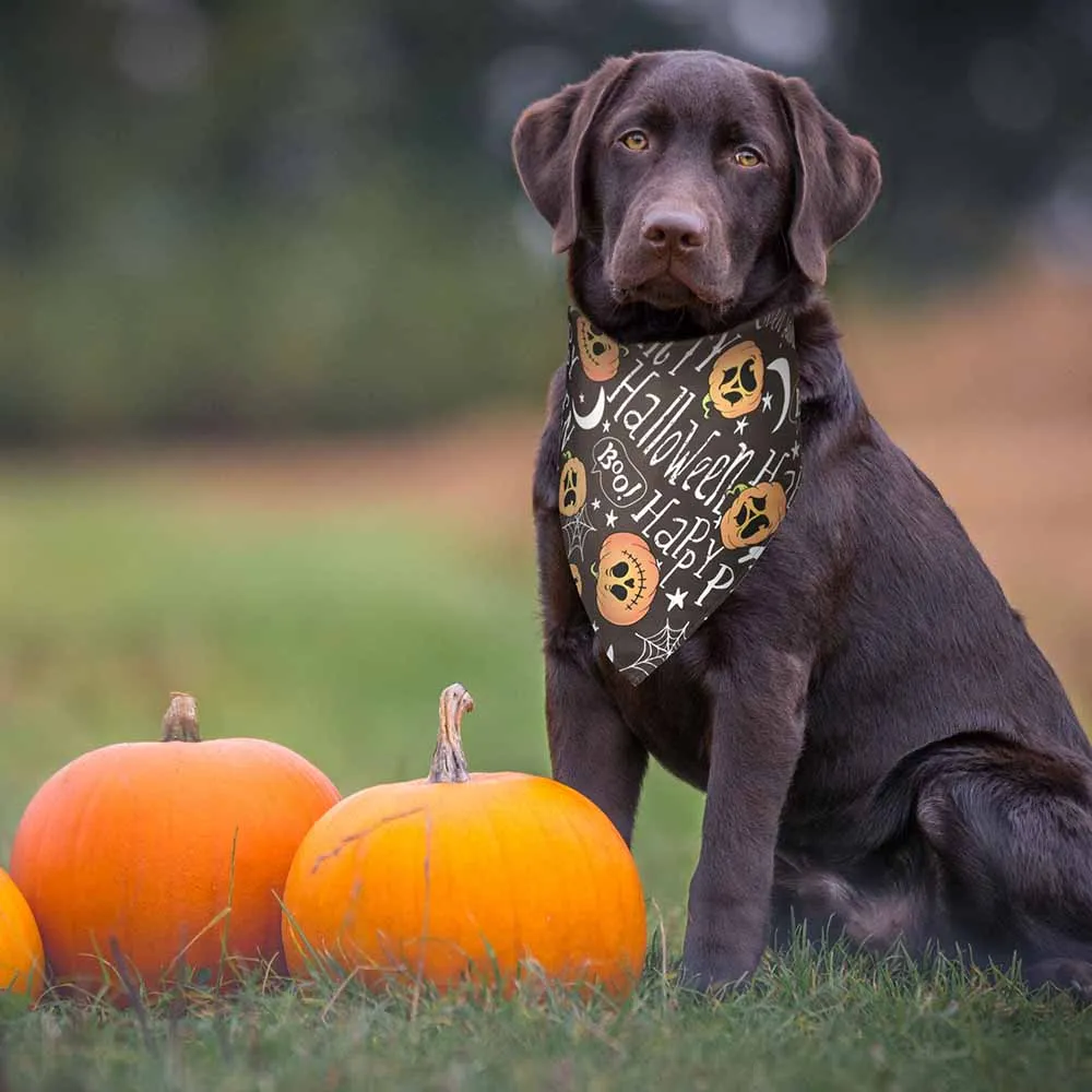 TheLAShop 10-Pack Dog Bandanas Halloween Pet Scarf Washable 32x21x21"